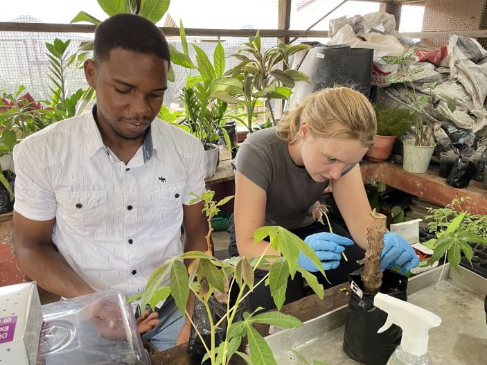 学生朱莉娅·波吉在加纳大学温室里双手工作