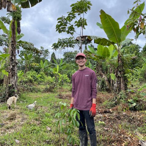 An intern stands next to a tree he just planted in Ecuador. 