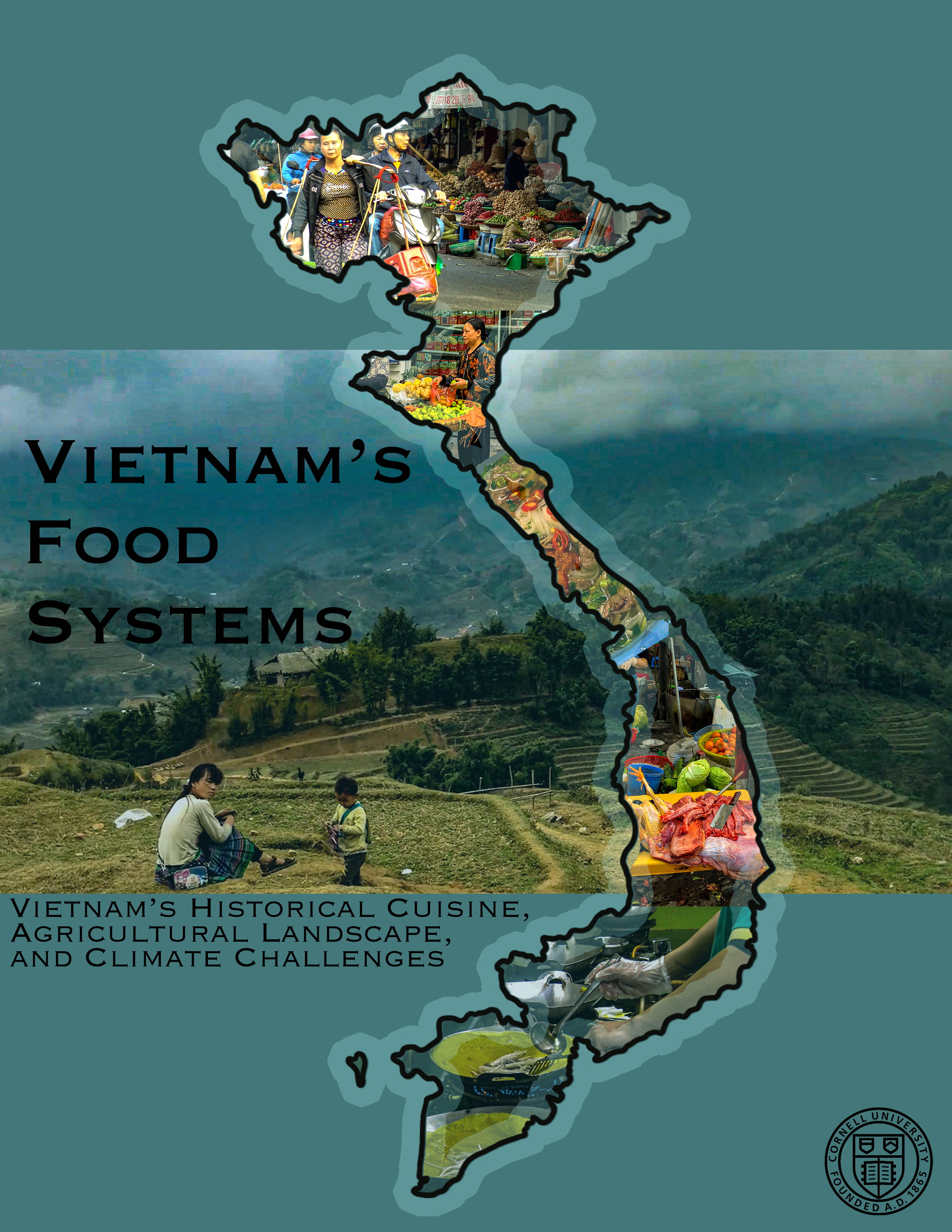 Vietnam food systems