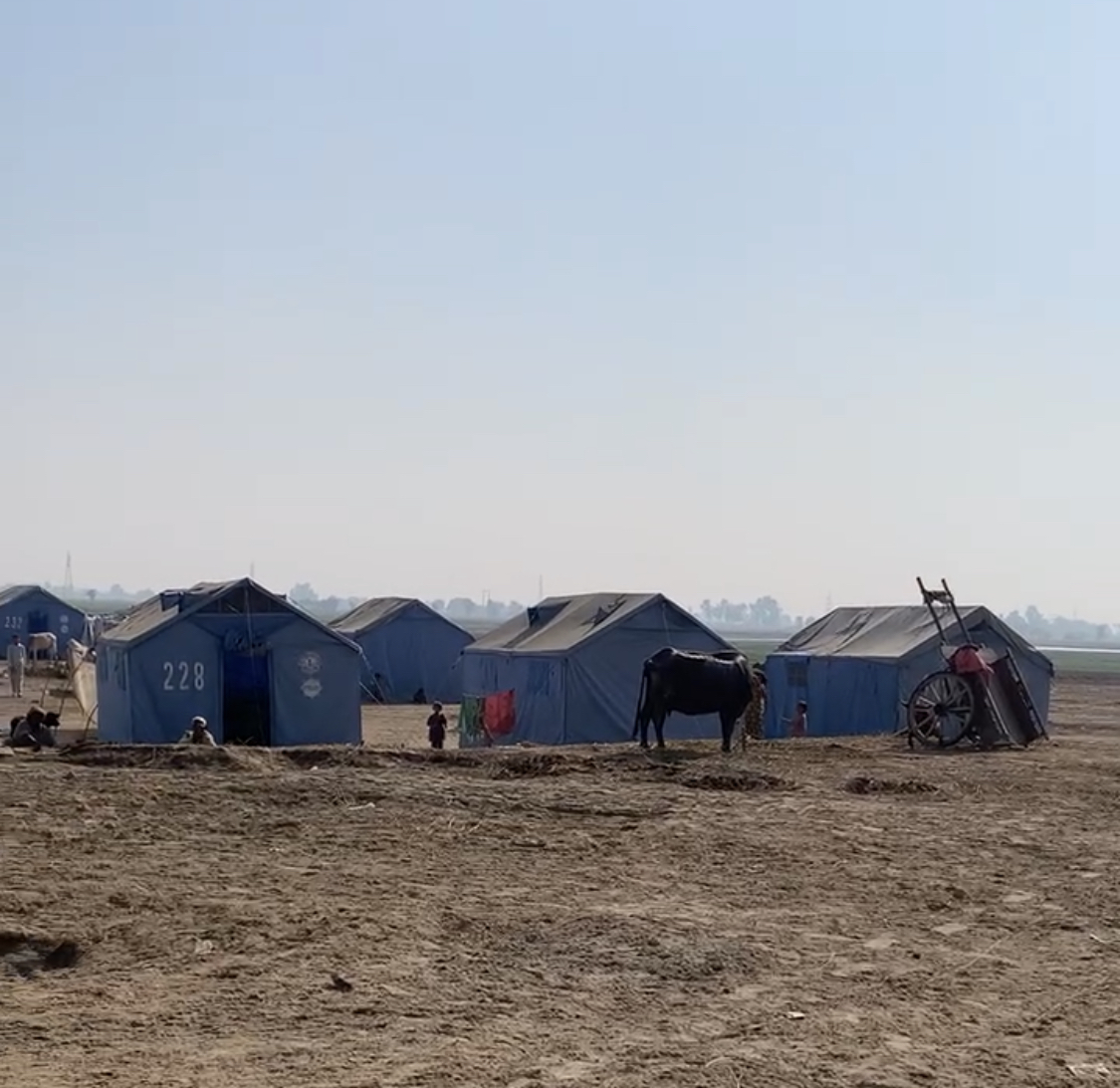 A campsite of families displaced due to the floods. Location: Sindh, Pakistan