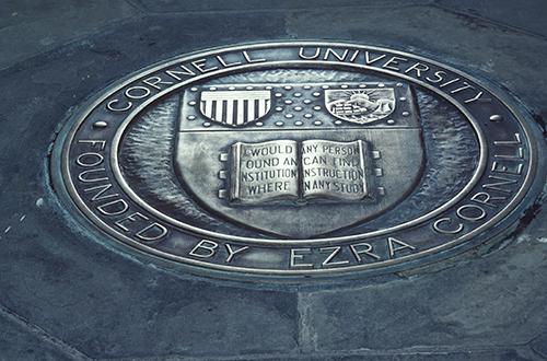 Blue-tinted Cornell seal