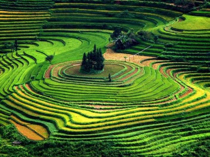 Rice terraces in Southeast Asia