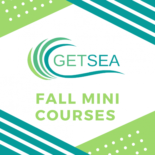 GETSEA Fall Mini Courses