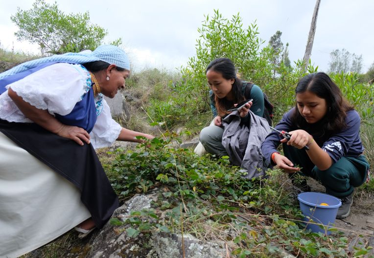 Mama Ines working with two interns in Ecuador