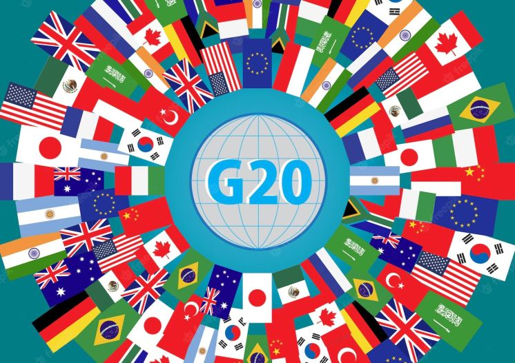G20 flags
