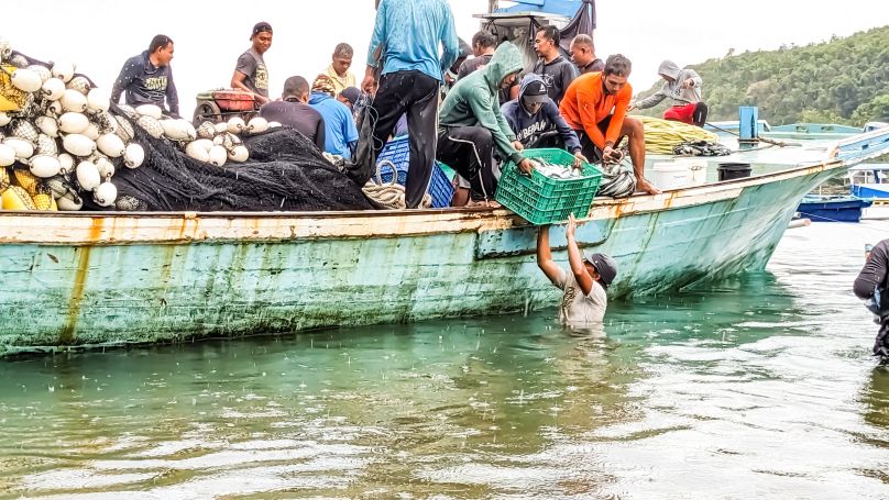 A boat of fishermen pull up fish from the water.