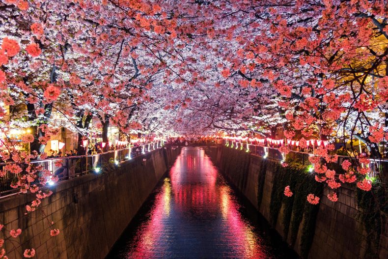 Lanterns reflect in the canal in Japan