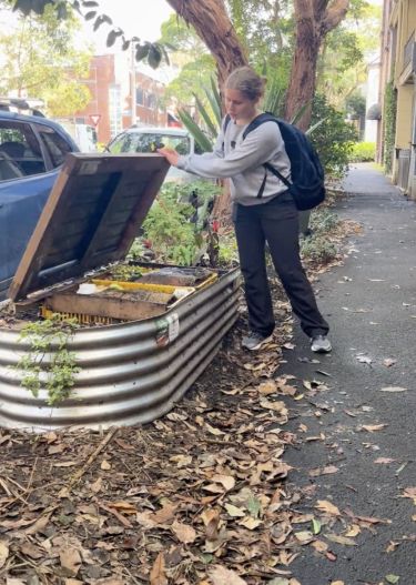 Intern holds up lid on a bench turned into a composting system.