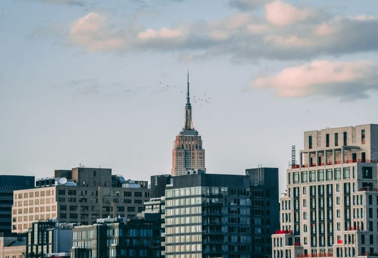 Birds fly above tall buildings in New York City.