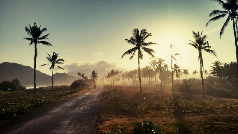 A motorcycle driving down a road lined by palm trees.