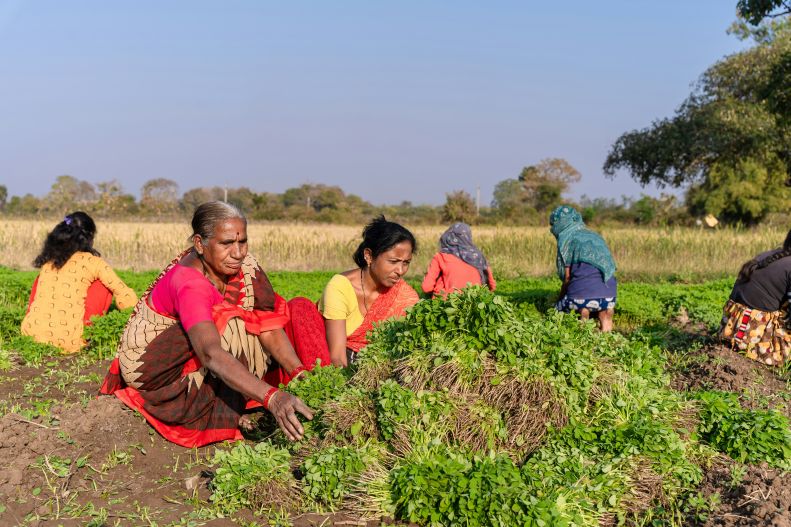 Farmers in India