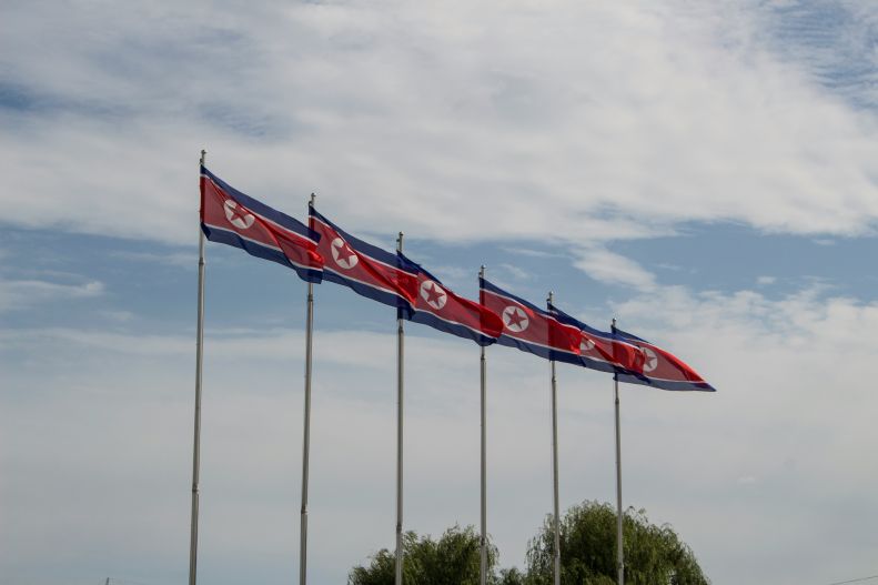 North Korea flags