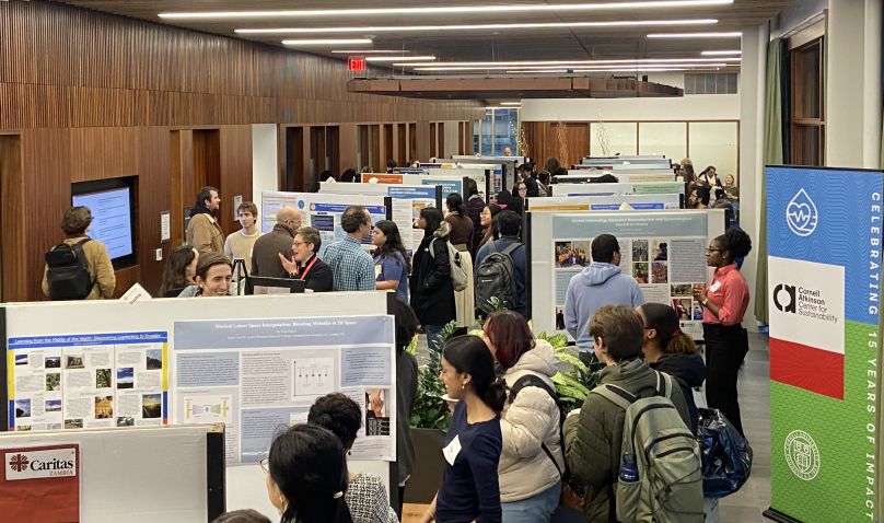 International research showcase.