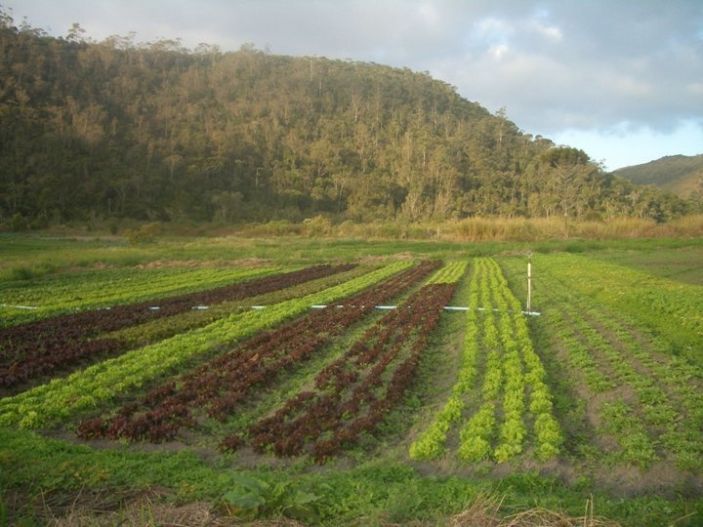 Farming landscape in Brazil