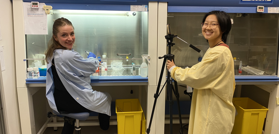 Audrey Su and a fellow researcher in the lab.