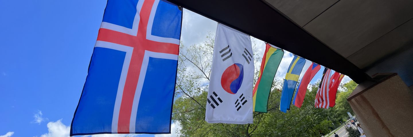 International Fair flags