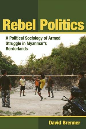 Rebel Politics book cover