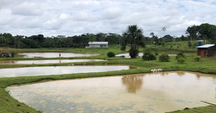 Aquaculture ponds near Iquitos, Peru. July 2022.