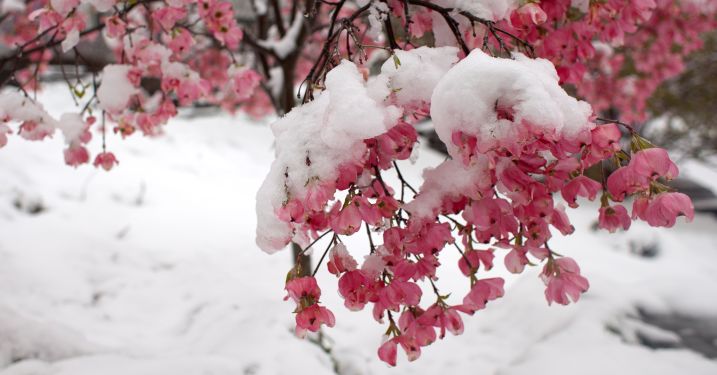 EAP Events Spring 2026