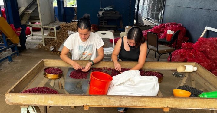 Yoselyn Hernández Chaves sorts red beans into groups based on color and brightness.