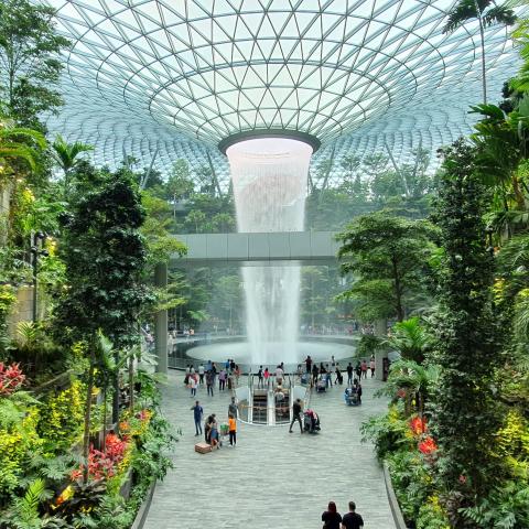 The central waterfall of the Singapore airport