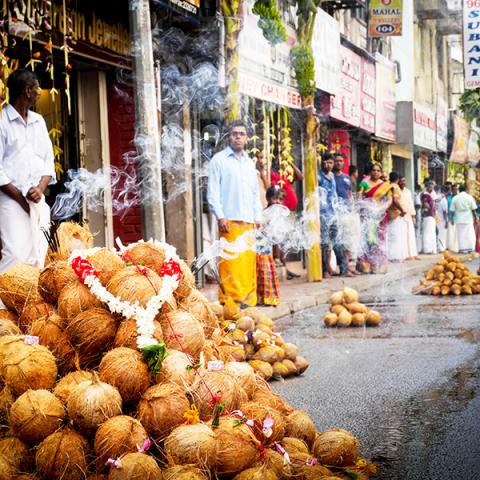 Men and coconuts, Sea Street, Colombo