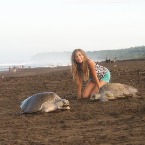 IAD virtual intern Danielle Berkowitz-Sklar ’22 with sea turtles in Costa Rica