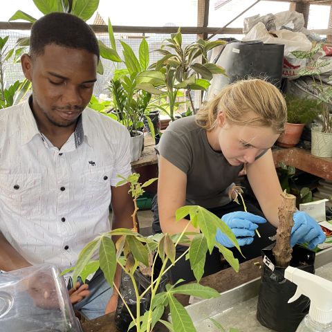 Student Julia Poggi works with her hands in a University of Ghana greenhouse