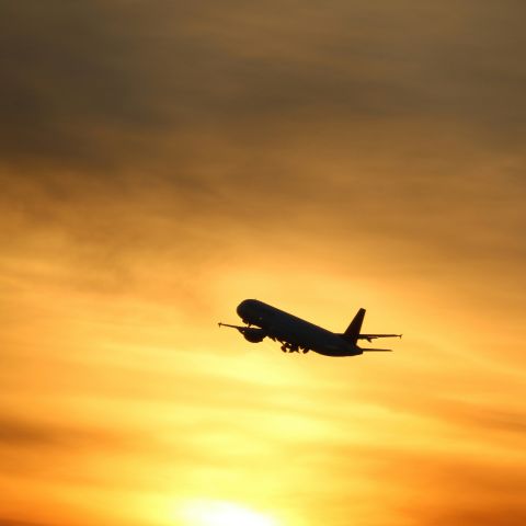 plane flying at sunset