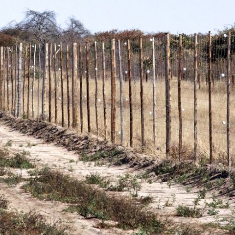 Wire and wood fence stretches across dry grasslands.